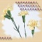 百合花