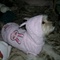 DSCN6105