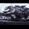 1115963020-userId-15-57635905