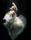 Zena Holloway