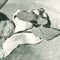 SCAN1339-1