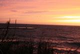 IMG_1411