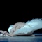 large_10432b67