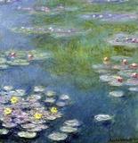 monet lily