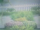 IMG0119A