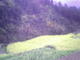 IMG0109A