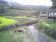 IMG0104A