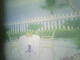 IMG0118A