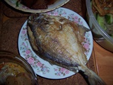 照片 026