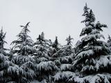 DSCN1558