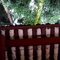 DSCN6980