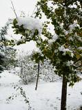 DSCN1556