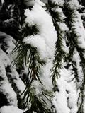 DSCN1564