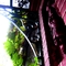 DSCN8354