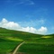 DSCN4297