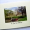 DSCN0465---