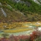 DSCN1281