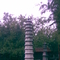 塔林3