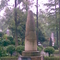 塔林6