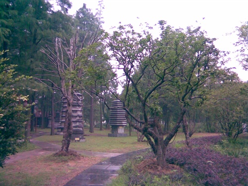 塔林5