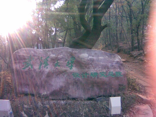 珞珈山18栋 (1)