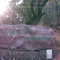 珞珈山18栋 (1)