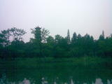 塔林8