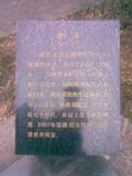 井A