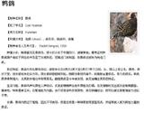 百度百科十大神兽_09