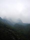 DSC07591