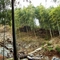 DSC01074