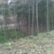 20090403