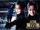 见习黑玫瑰