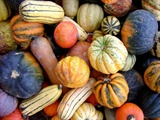Happy_Halloween2