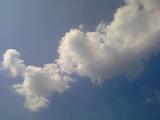 20090806227