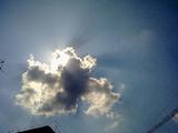 20090806228
