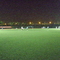 DSCI0137