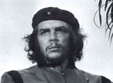 CHE100902211