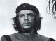 CHE100902211