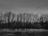 petersburg-riverbank01