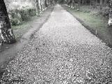petersburg-road3