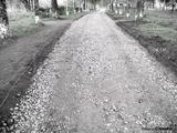petersburg-road4