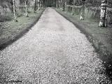 petersburg-road2