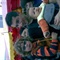 spanish!