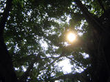 照片 003