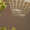 080906_建外soho_躺在草地上仰望