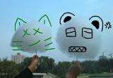 091008_cat,panda2