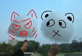 091008_cat,panda