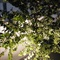 080906_建外soho_从上照