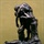 Rodin
